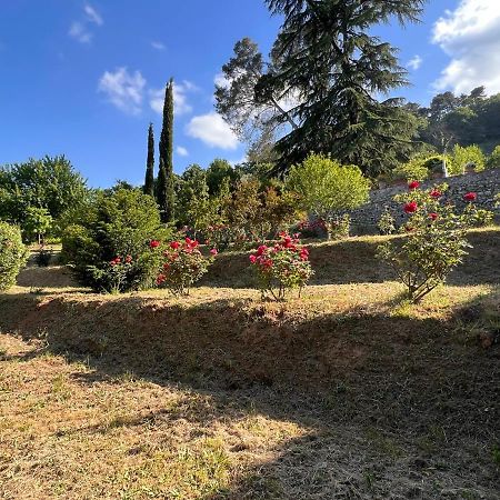Borgo Al Canto Degli Alberi Lucca Luaran gambar