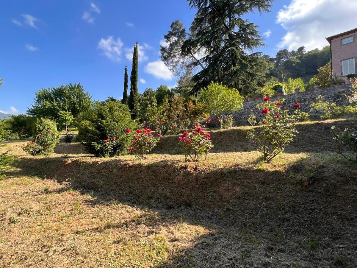 Borgo Al Canto Degli Alberi Lucca Luaran gambar