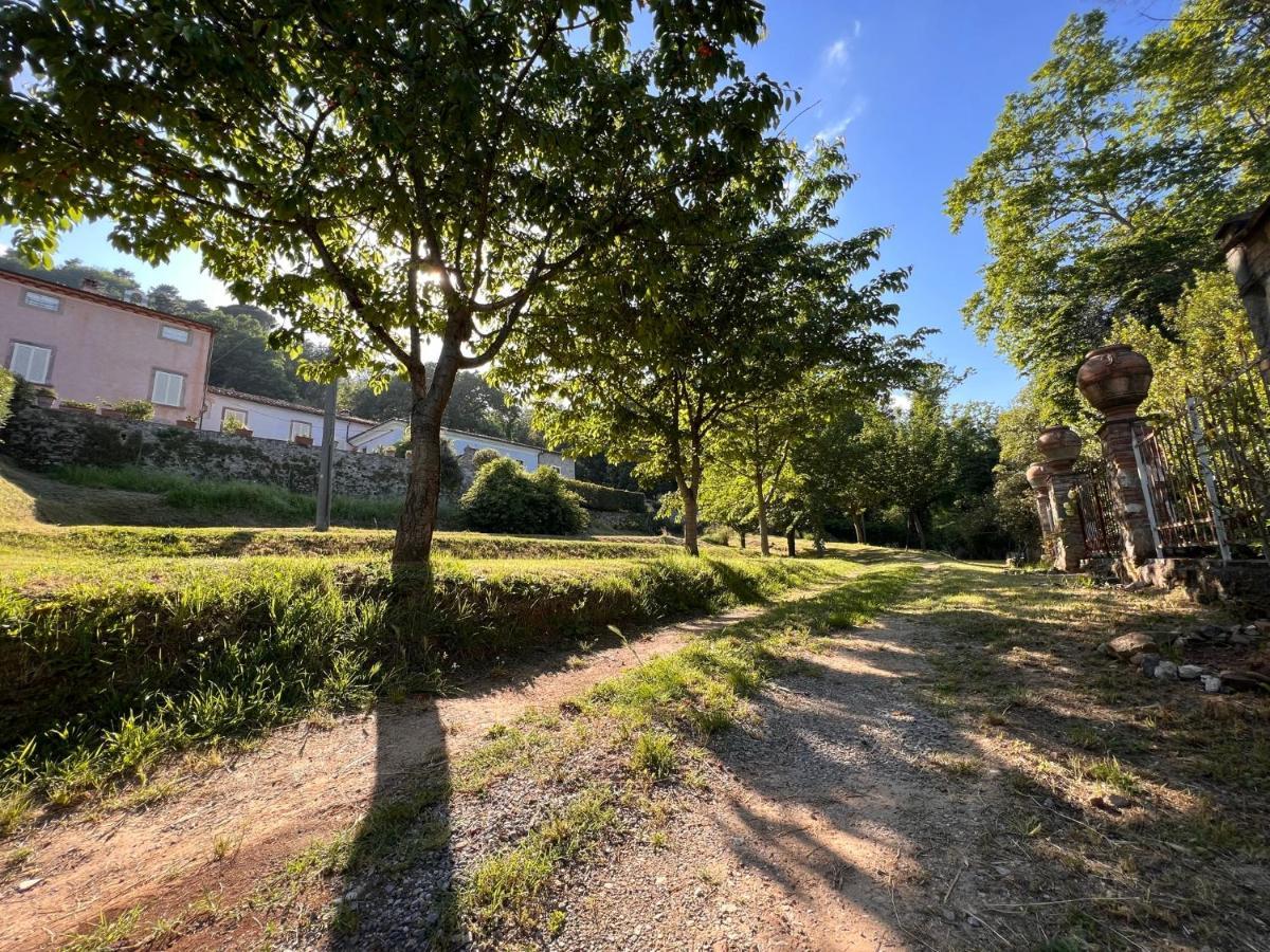 Borgo Al Canto Degli Alberi Lucca Luaran gambar