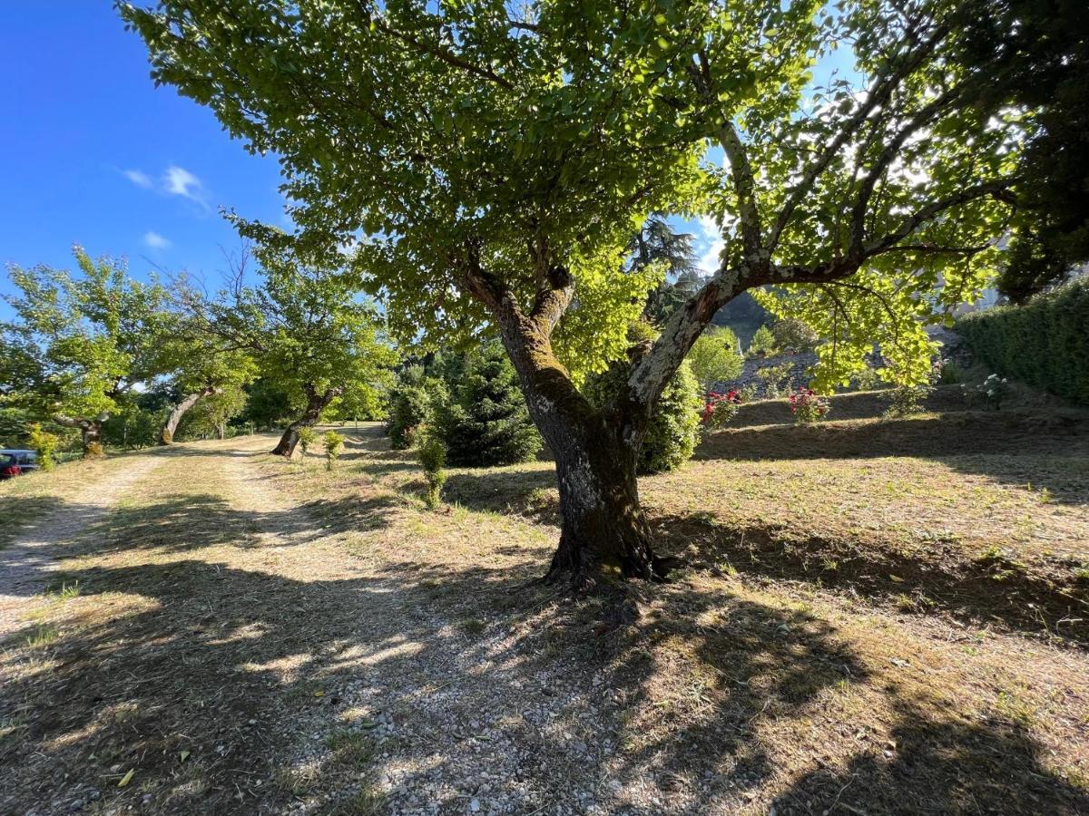 Borgo Al Canto Degli Alberi Lucca Luaran gambar