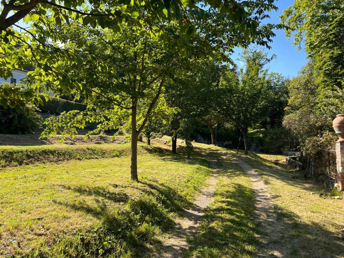 Borgo Al Canto Degli Alberi Lucca Luaran gambar